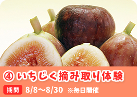 CEݎ̌i2015Nj